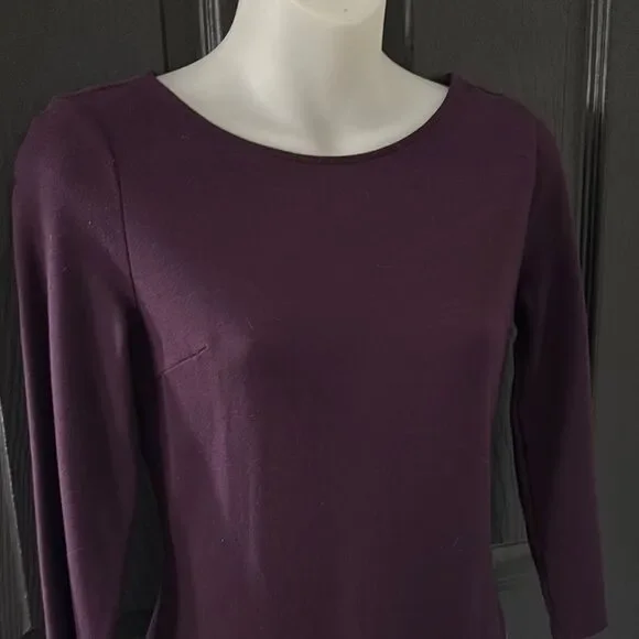 Express Purple Dress with Long Sleeves and Crew Neck, XS - Picture 4 of 7